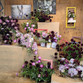 Swan Island Dahlias - Flower show 2026 - Nurseries & Gardening Near Me - Canby, Oregon Swan Island Dahlias - Flower show 2026 - Nurseries & Gardening Near Me - Canby, Oregon