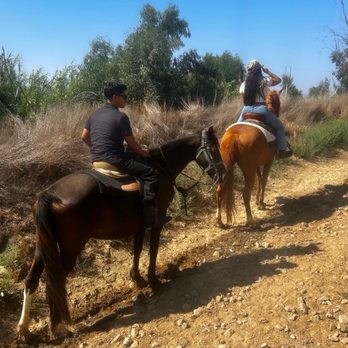 Sunshine and Daydreams - Bubbles and Foxy - Horseback Riding Near Me - Norco, California Sunshine and Daydreams - Bubbles and Foxy - Horseback Riding Near Me - Norco, California