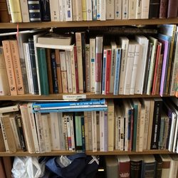 Karen Wickliff Books - Foreign language books - some still in bags apparently!