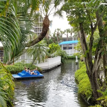 Tradewinds Island Resort - [Instagram.com/visitatampabay] Mini lagoon that surrounds part of the resort w/ swans; able to rent out a paddle boat for rides! - Resorts Near Me - Saint Pete Beach, Florida