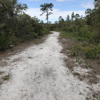 Tibet-Butler Preserve - Standard trail - Parks Near Me - Orlando, Florida Tibet-Butler Preserve - Standard trail - Parks Near Me - Orlando, Florida
