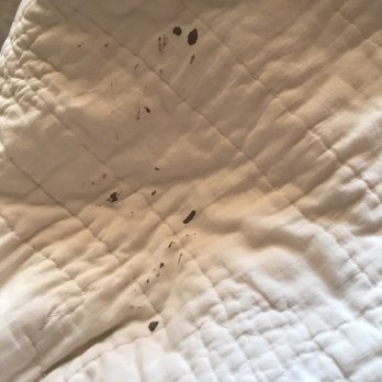 Silver King - Room 320: blood stains on spare quilt - Hotels Near Me - Park City, Utah