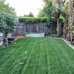 Chico Yard & Pool