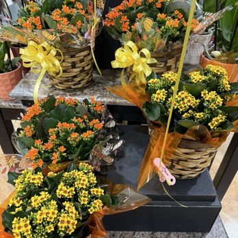 Harris Teeter - More fall bouquets! - Grocery Near Me - Laurel, Maryland Harris Teeter - More fall bouquets! - Grocery Near Me - Laurel, Maryland