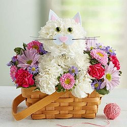 Carolina Floral Design - Flirty Feline