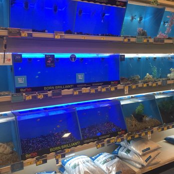 PetSmart - Pet Groomers Near Me - Louisville, Kentucky