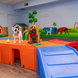 Calabasas Pawz Inn
