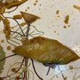Photo of New Yang's Garden