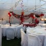 Photo of ABSO Rental Services