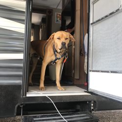 Leeds RV Park & Motel - Pupperoni