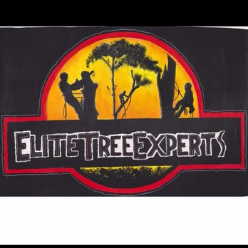 Elite Tree Experts - Tree Services Near Me Elite Tree Experts - Tree Services Near Me