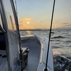 Reel Deal Fishing Charters