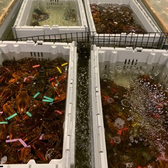 Maine Lobster Outlet - a variety of lobsters in crates - Seafood Markets Near Me - York, Maine Maine Lobster Outlet - a variety of lobsters in crates - Seafood Markets Near Me - York, Maine