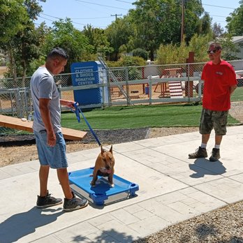Real Deal Dog Training - Pet Training Near Me - Perris , California Real Deal Dog Training - Pet Training Near Me - Perris , California