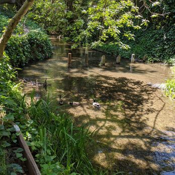 Arroyo Park - Parks Near Me - San Mateo, California