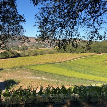 Gandona Winery - The vineyards of Gandona. - Wineries Near Me - Saint Helena, California Gandona Winery - The vineyards of Gandona. - Wineries Near Me - Saint Helena, California
