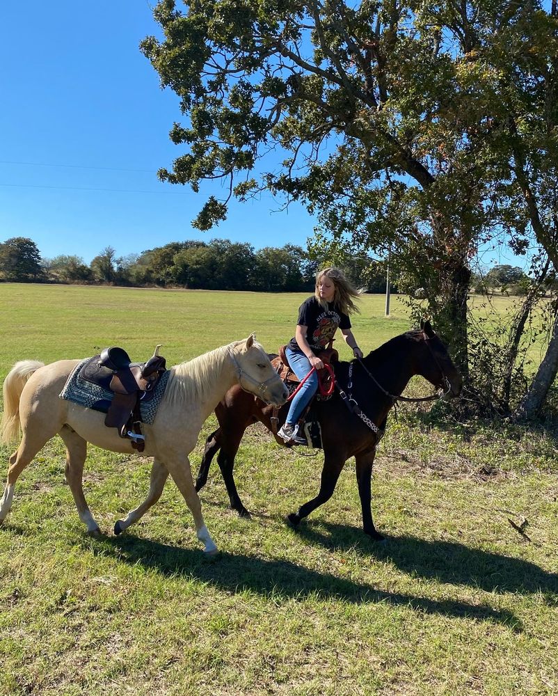 COVINGTON OAKS FARM 25 Photos Covington, Texas Horseback Riding