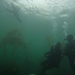 Zach's Scuba Shack - Close encounters with wildlife! Remember not to touch :)