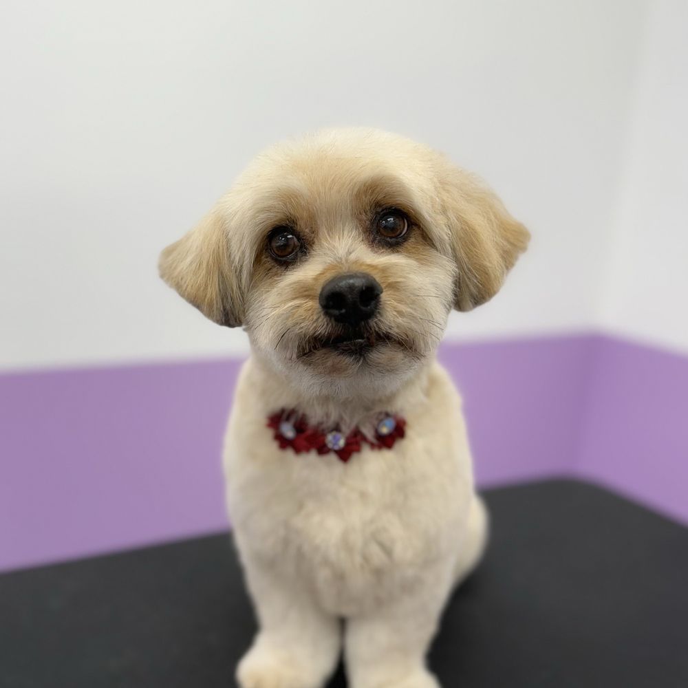 Fresh cut!