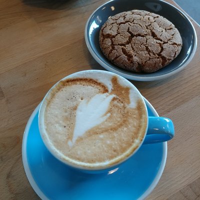 Equator Coffee Roasters by null