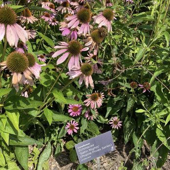 Toronto Botanical Garden - Botanical Gardens Near Me - Toronto, Ontario Toronto Botanical Garden - Botanical Gardens Near Me - Toronto, Ontario