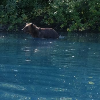Talon Air Service - Grizzly - Fishing Near Me Talon Air Service - Grizzly - Fishing Near Me