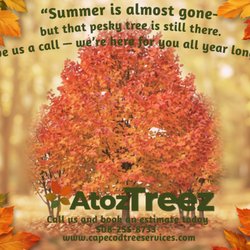 A To Z Treez