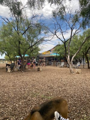 MUTTS Canine Cantina® by null