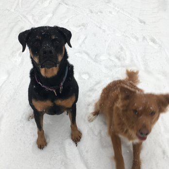 Sidekick Dog Training - Pet Training Near Me