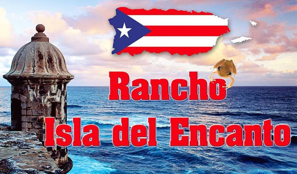 Rancho Isla Del Encanto - equestrian in Orlando, FL