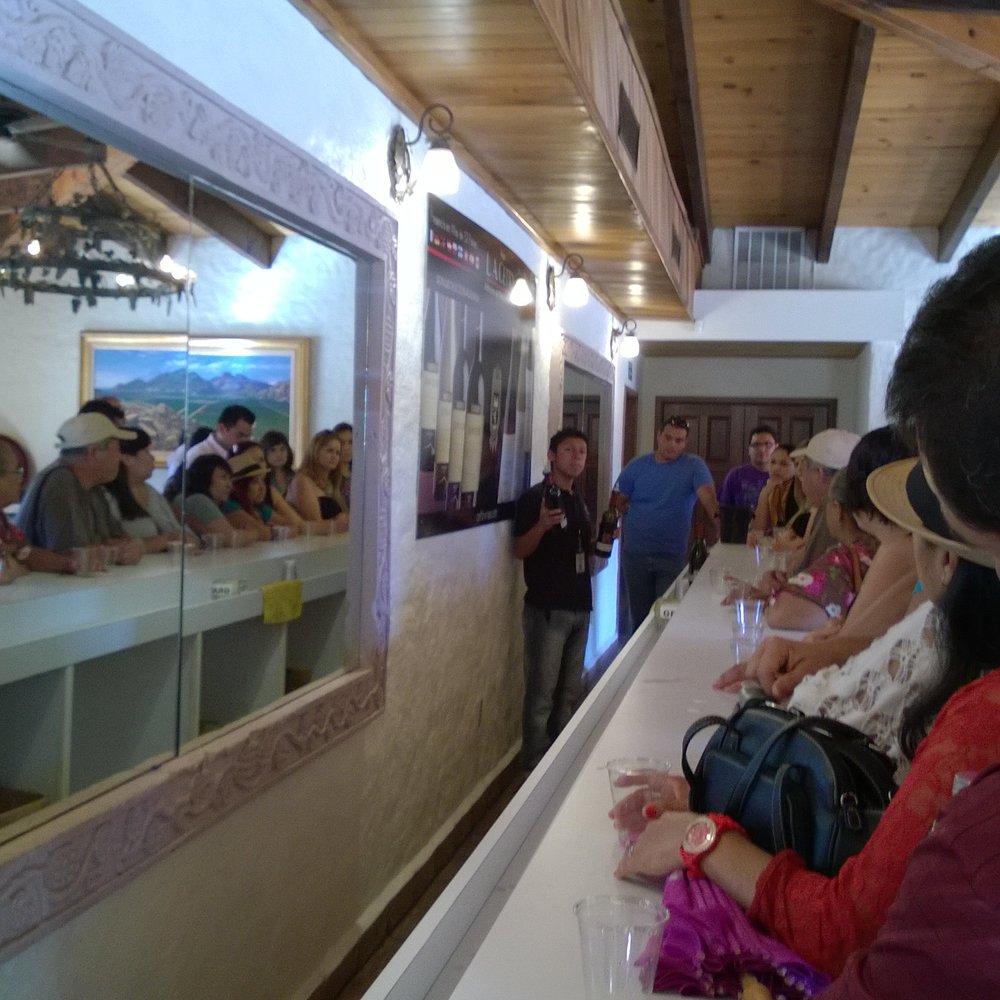 LA Cetto - wine tasting "experience" - Wineries Near Me - Valle de Guadalupe, BCN