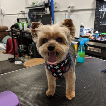 303 Pet Salon - Pet Groomers Near Me - Denver, Colorado 303 Pet Salon - Pet Groomers Near Me - Denver, Colorado