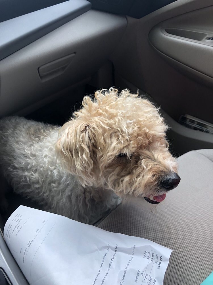 LOGAN PINE KENNEL Updated October 2024 1426 S Main St, Mansfield, Ohio Pet Sitting Phone