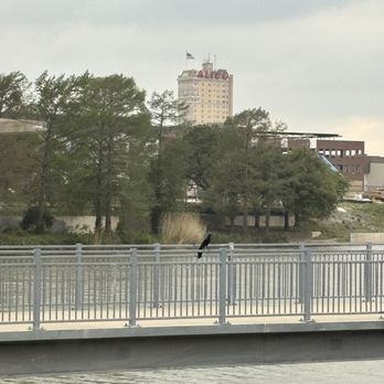 The Brazos Landing - The view from our table. - Seafood Near Me - Waco, Texas The Brazos Landing - The view from our table. - Seafood Near Me - Waco, Texas