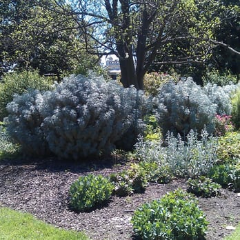 Saint Vincent Gardens - Parks Near Me - Albert Park, VIC
