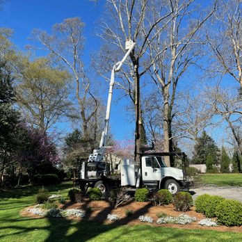 Lakeside Tree Experts - Mark Boy of Lakeside Tree Experts. - Tree Services Near Me Lakeside Tree Experts - Mark Boy of Lakeside Tree Experts. - Tree Services Near Me