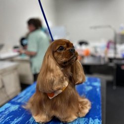 What the Floof