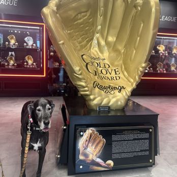 Rawlings Sporting Goods - Sporting Goods Near Me - St. Louis, Missouri