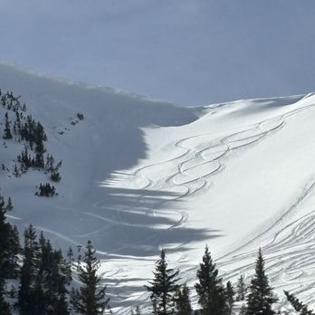 Powderbird - Turns - Ski Resorts Near Me - Alta, Utah