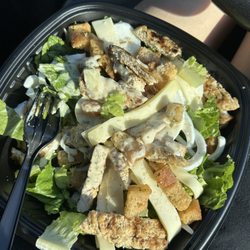 Lucky Dog - Chicken Cesar salad