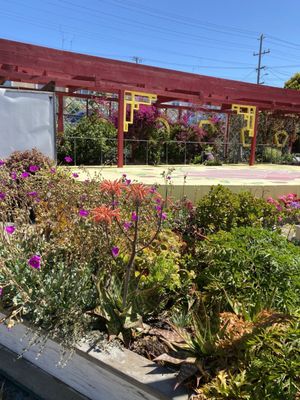 Florence Fang Community Farm by null