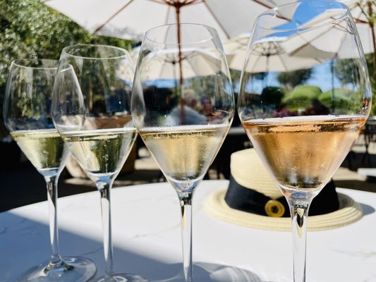 Gloria Ferrer Wines by null