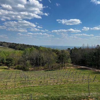 Terra Incognita Vineyard - Venues & Event Spaces Near Me - Clarkesville, Georgia