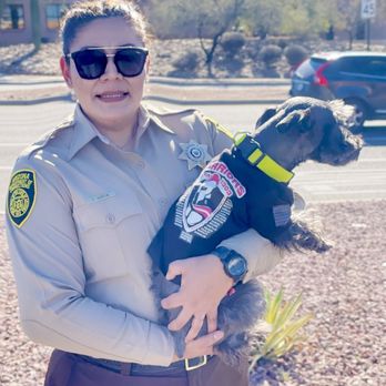 First Watch - Me and my dog - Breakfast & Brunch Near Me - Avondale, Arizona