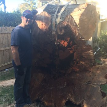 E & B Tree Care - Tree Services Near Me - Montvale, New Jersey E & B Tree Care - Tree Services Near Me - Montvale, New Jersey