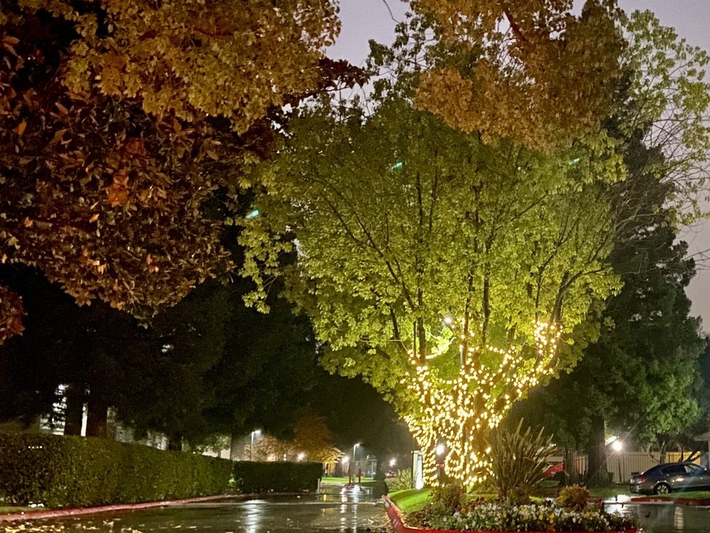 ASHFORD PARK APARTMENTS 20 Photos & 28 Reviews 132 Fountain Oaks