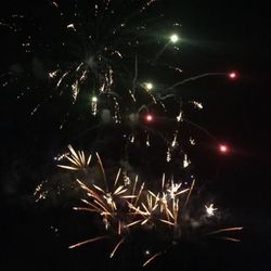 Lutz Family Fireworks Celebration