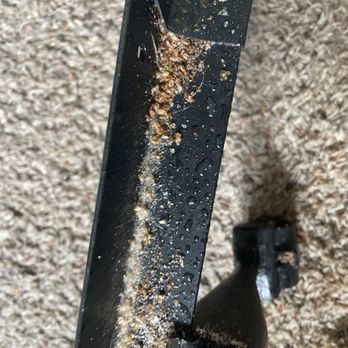 KO Pest Solutions - Pest Control Near Me - Davenport, Iowa KO Pest Solutions - Pest Control Near Me - Davenport, Iowa