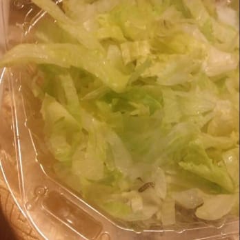 Pizza USA - The worm in the salad. - Pizza Near Me - Bellflower, California