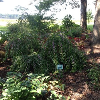 The Arboretum at Murray State - Community Gardens Near Me - Murray, Kentucky